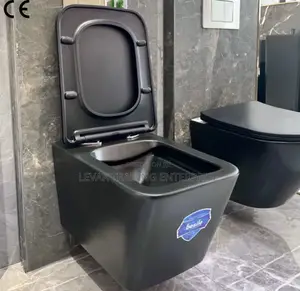 Black Concealed Wall Hung Watercloset