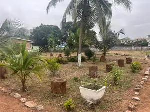 6 Plots of Land at Tesano Is Available for Sale