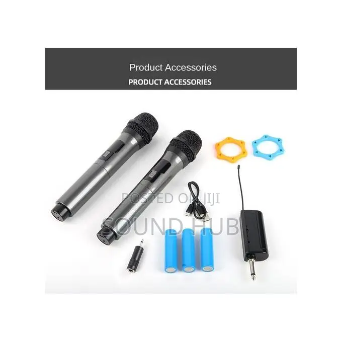 2 Powerful Wireless Microphones