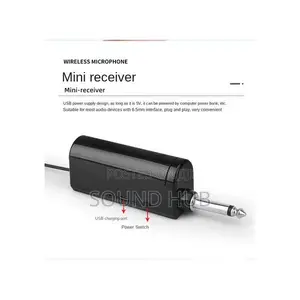 2 Powerful Wireless Microphones