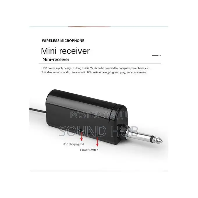 2 Powerful Wireless Microphones