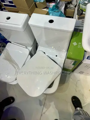 Water Closet_british Master Bed Wc_executive Design_