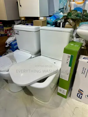 Water Closet_british Master Bed Wc_executive Design_