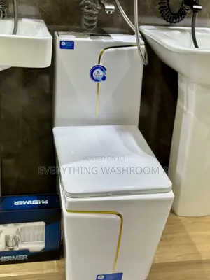 Water Closet and Hand Wash Basin Set-Wc-Basin-White and Gold
