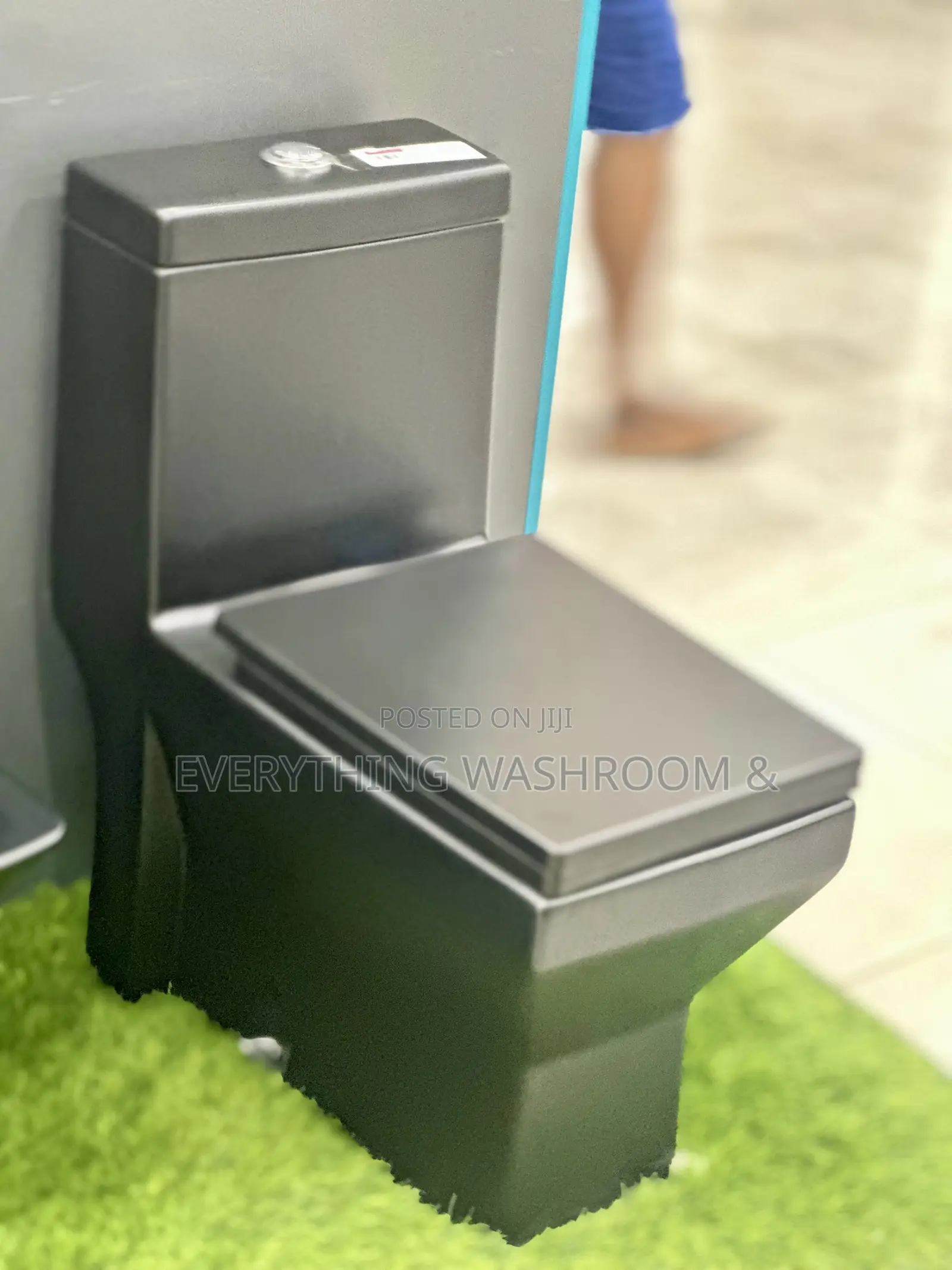 Black Water Closet and Hanging Basin_ Heavy Master Bed Wc