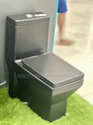 Black Water Closet and Hanging Basin_ Heavy Master Bed Wc