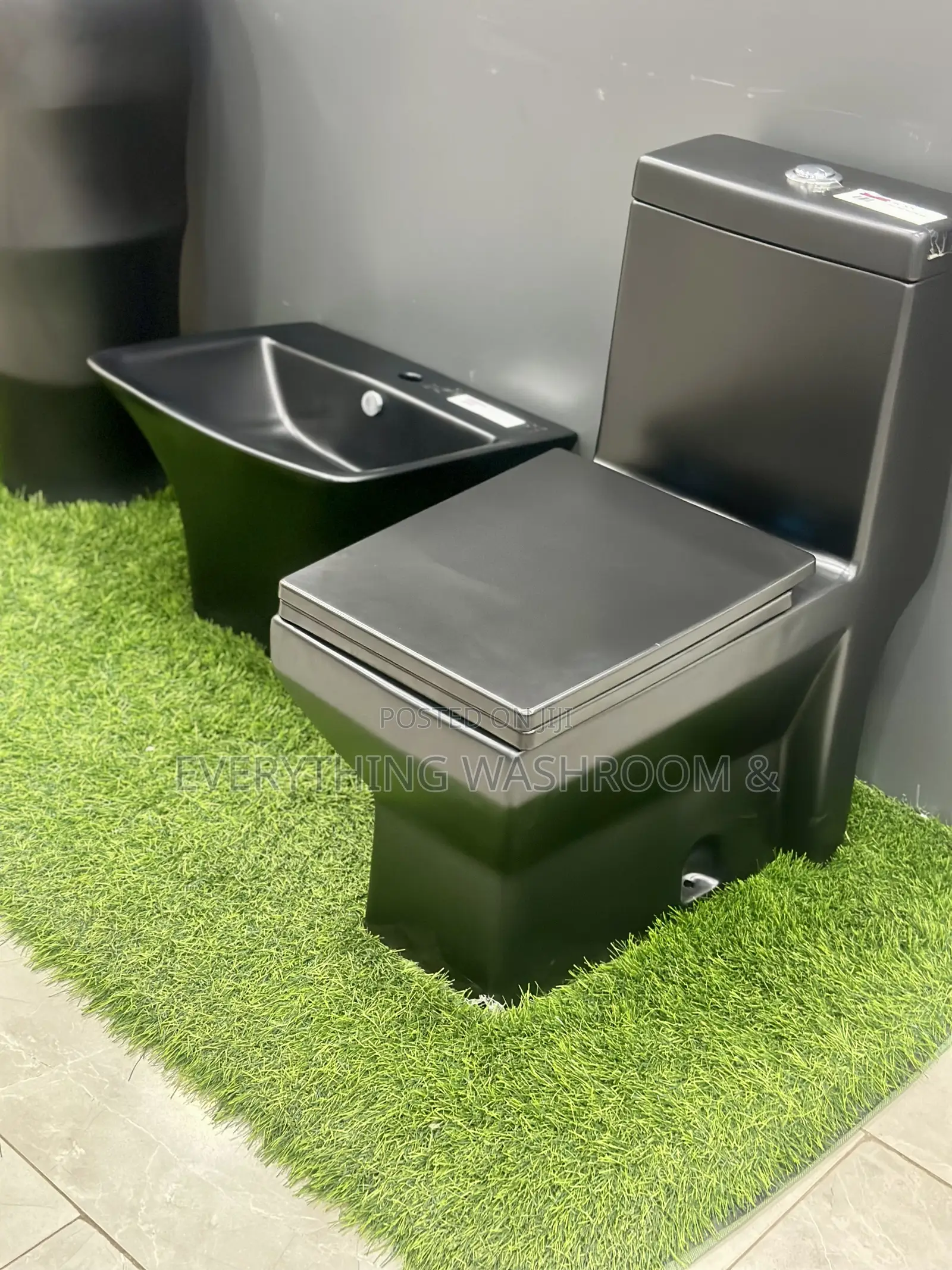 Black Water Closet and Hanging Basin_ Heavy Master Bed Wc