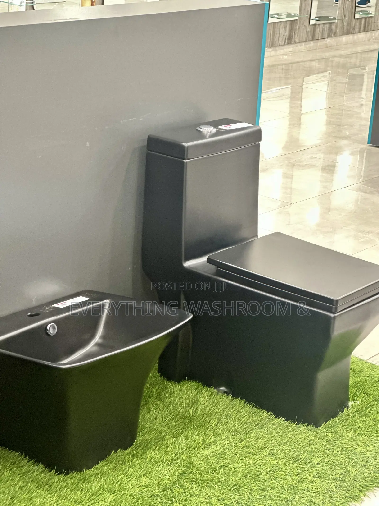Black Water Closet and Hanging Basin_ Heavy Master Bed Wc