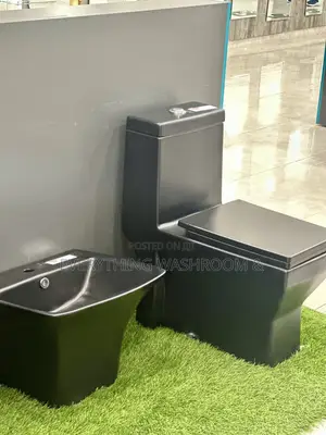 Black Water Closet and Hanging Basin_ Heavy Master Bed Wc