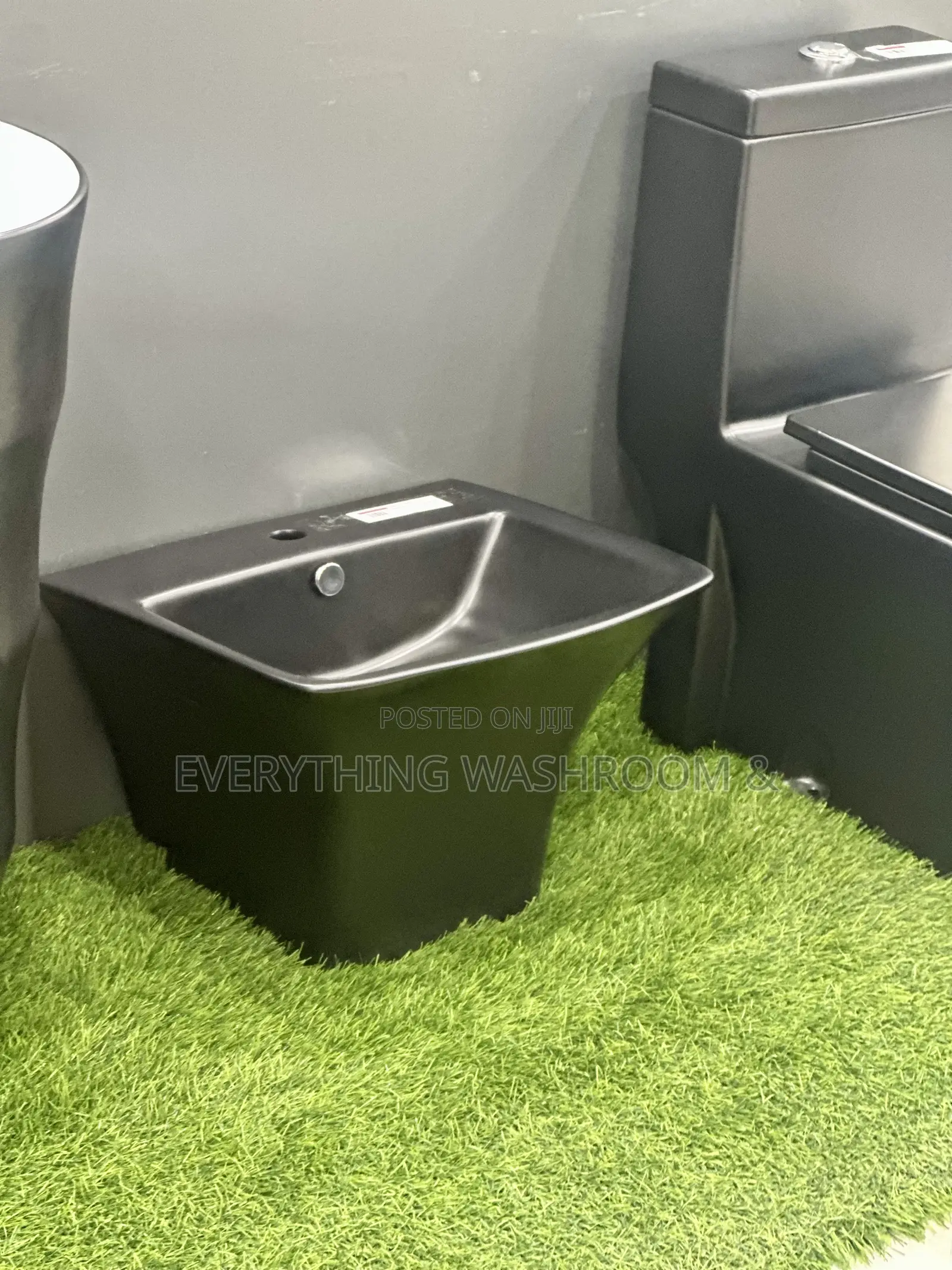 Black Water Closet and Hanging Basin_ Heavy Master Bed Wc