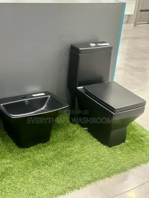 Black Water Closet and Hanging Basin_ Heavy Master Bed Wc