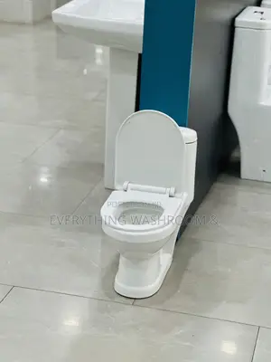 Kid’S Water Closet_ Cute Water Closet for Kids