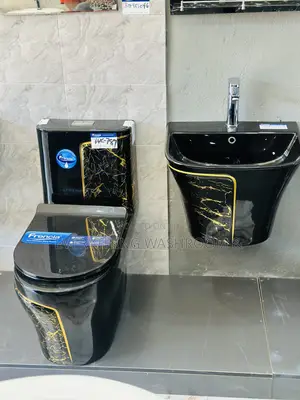 One Piece Water Closet_ Black and Gold Wc and Hanging Basin
