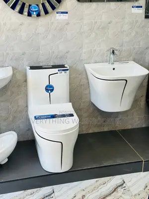 One Piece Water Closet and Basin Set_ Black and White Wc Set