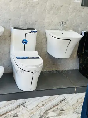 One Piece Water Closet and Basin Set_ Black and White Wc Set