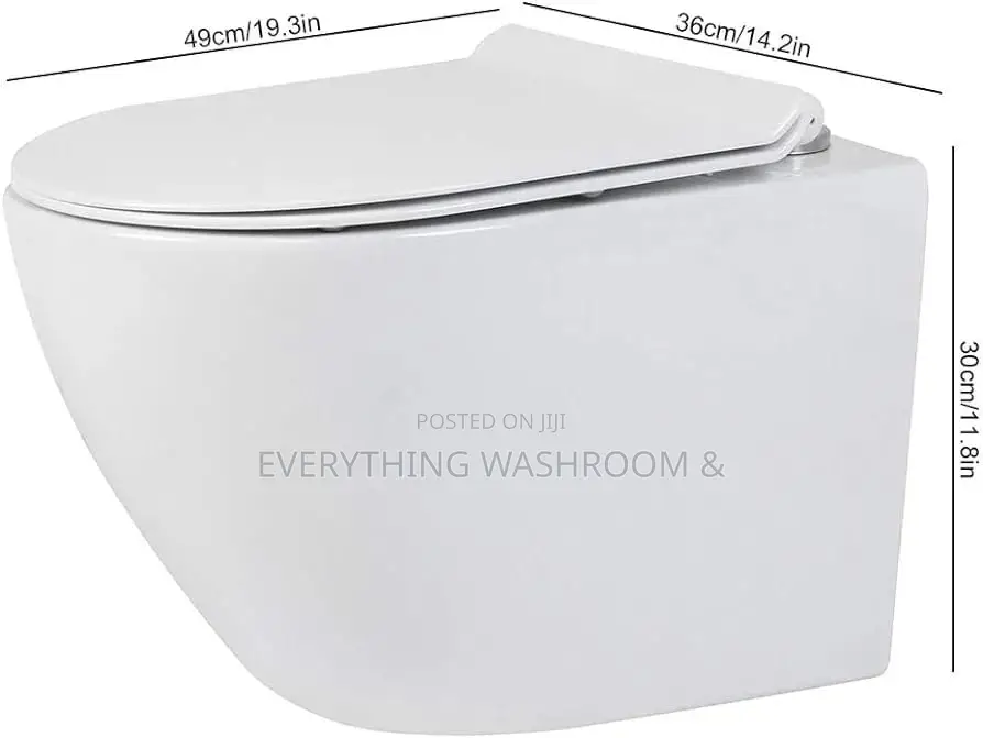 Concealed Wc White Color_ Wall Hung Water Closet