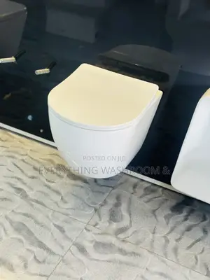 Concealed Wc White Color_ Wall Hung Water Closet