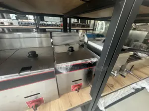 Single Gas Fryer Tabletop