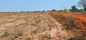 Neat Plots in Gated Residence at Prampram