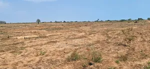Neat Plots in Gated Residence at Prampram