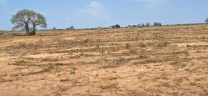 Rush for Road Side Plots at Afienya - Shai Hills