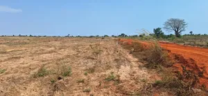Get Half Plots at Reduced Price - Prampram Beach Lane
