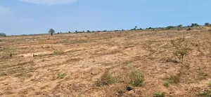 Pre X' Mas Offers on Half Plot at Prampram Beach Lane