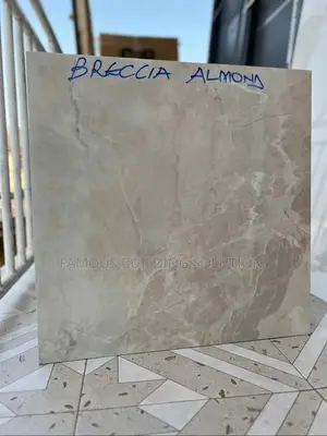 Porcelain Made in India 60/60 Floor Tiles (Polished)