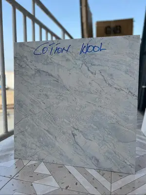 Porcelain Made in India 60/60 Floor Tiles (Polished)