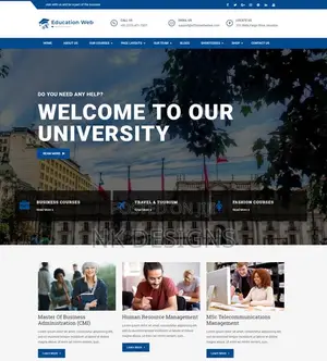 Professional Website Designer