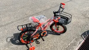 Unisex Bicycle for Kids
