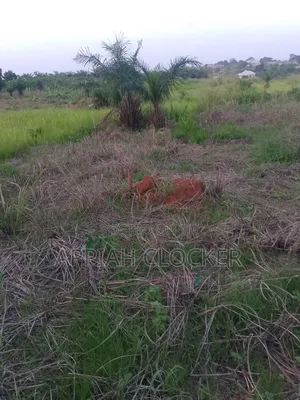 Land for Sale at Pakyi No 1
