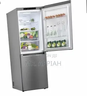 Order Classic LG GC-B399NLJM 306ltr Double Door Fridge.