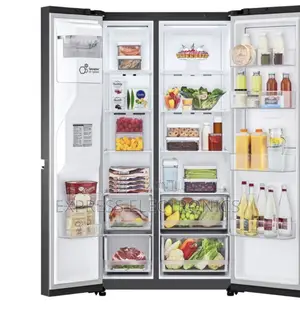 Affordable Price Fridge Smart Inverter LG GC-J287SVUV