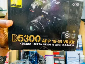 Versatile Nikon D5300 With Lens