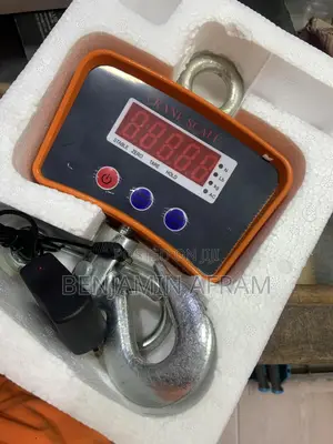 Auto Power Off Crane Scale
