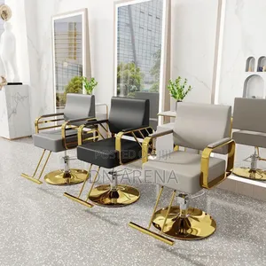 Salon Chair Hydraulic Chair for Business or Home,