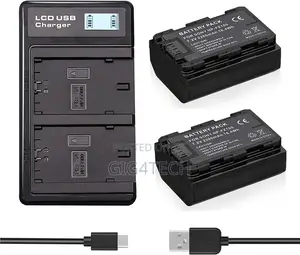 Lp-E6 Dual Battery Charger With LCD for 5d 6d 7d 80d Canon R