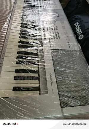 Yamaha Portable Grand DGX-205