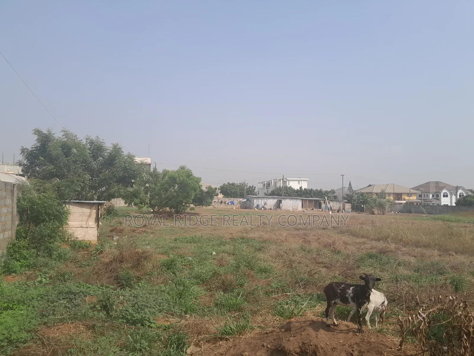 Arces of Land for Sale at Tseaddo Roundabout