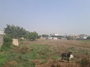 Arces of Land for Sale at Tseaddo Roundabout