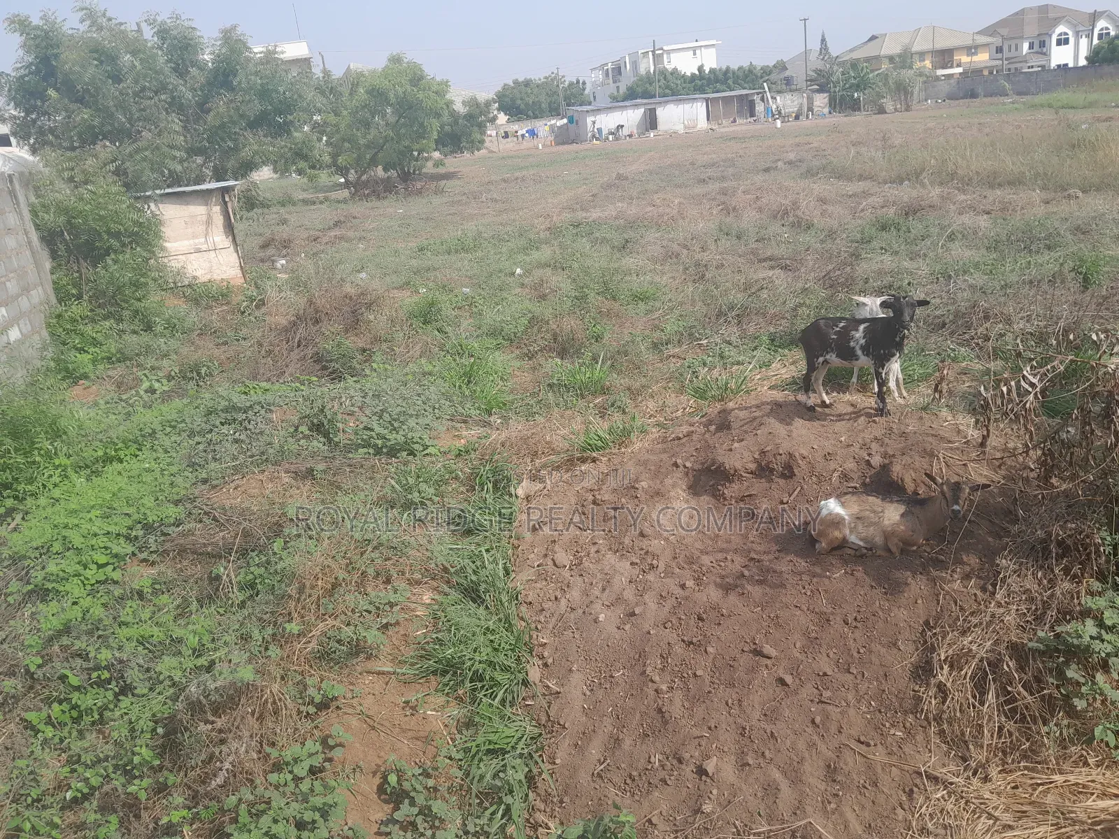 Arces of Land for Sale at Tseaddo Roundabout