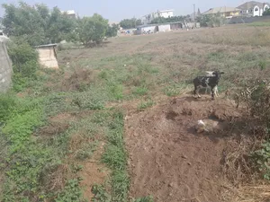 Arces of Land for Sale at Tseaddo Roundabout