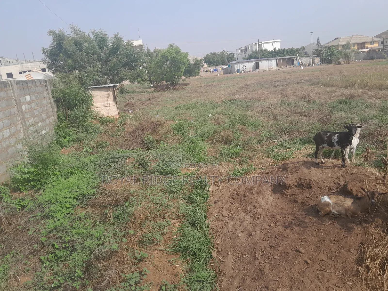 Arces of Land for Sale at Tseaddo Roundabout