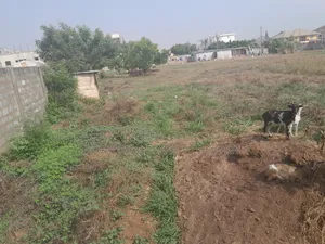 Arces of Land for Sale at Tseaddo Roundabout