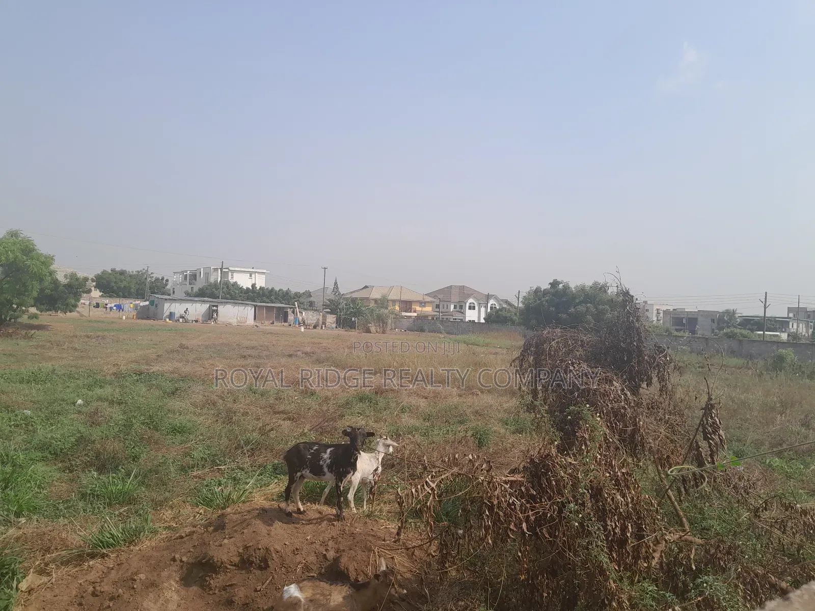 Arces of Land for Sale at Tseaddo Roundabout