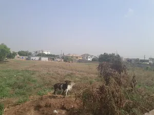Arces of Land for Sale at Tseaddo Roundabout