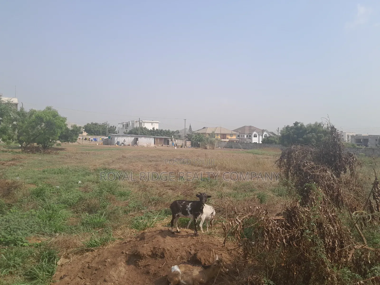 Arces of Land for Sale at Tseaddo Roundabout