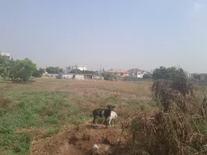 Arces of Land for Sale at Tseaddo Roundabout