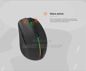 Meetion Dual Mode Wireless + Bluetooth Chargeable Mouse RGB